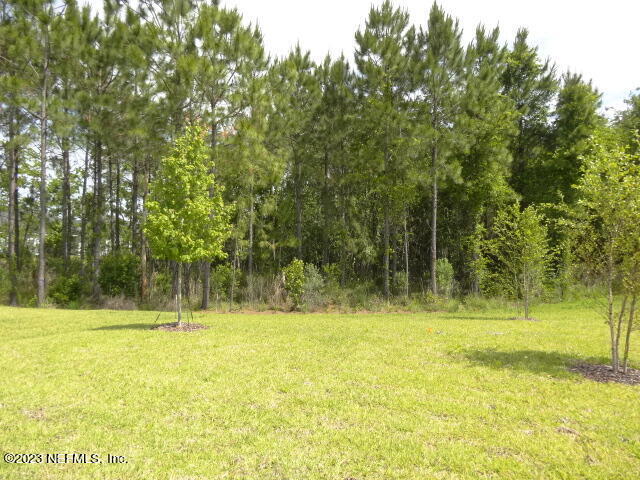 69 Trewin Circle St. Augustine, FL 32092 - Photo 35 of 36 a view of outdoor space with trees
