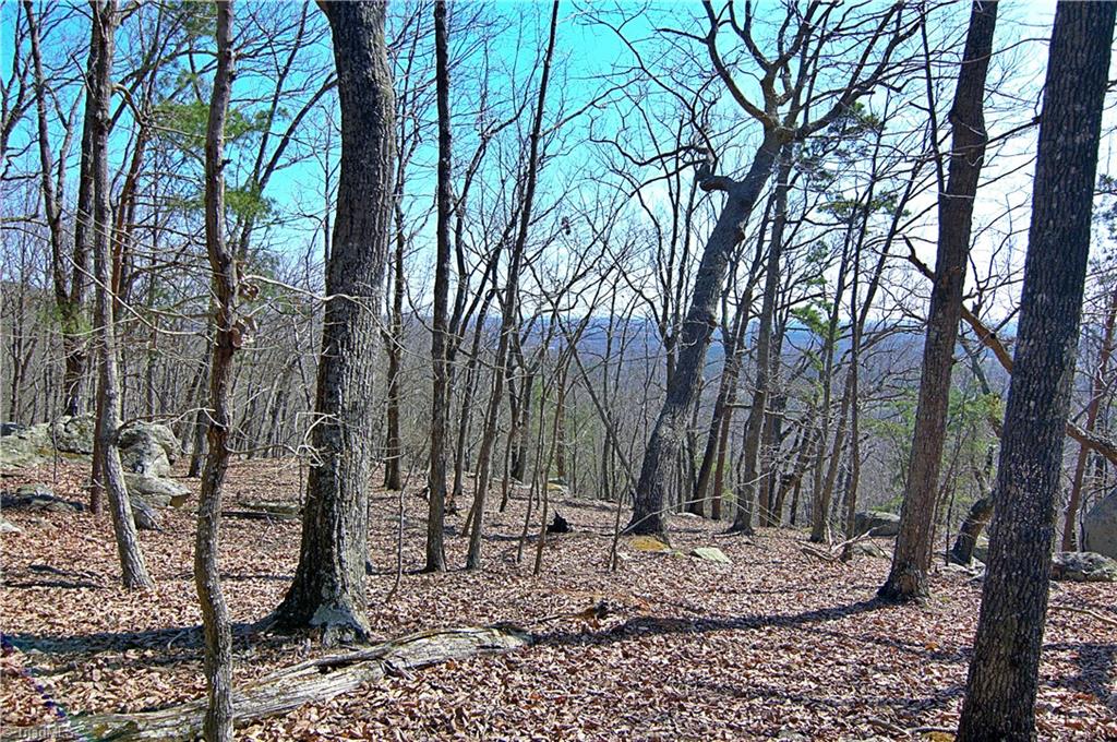 1080 Sierra Trace Road Denton, NC 27239 - Photo 13 of 31 Gallery Image 13