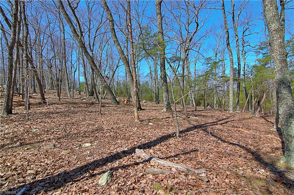 1080 Sierra Trace Road Denton, NC 27239 - Photo 8 of 31 Gallery Image 8