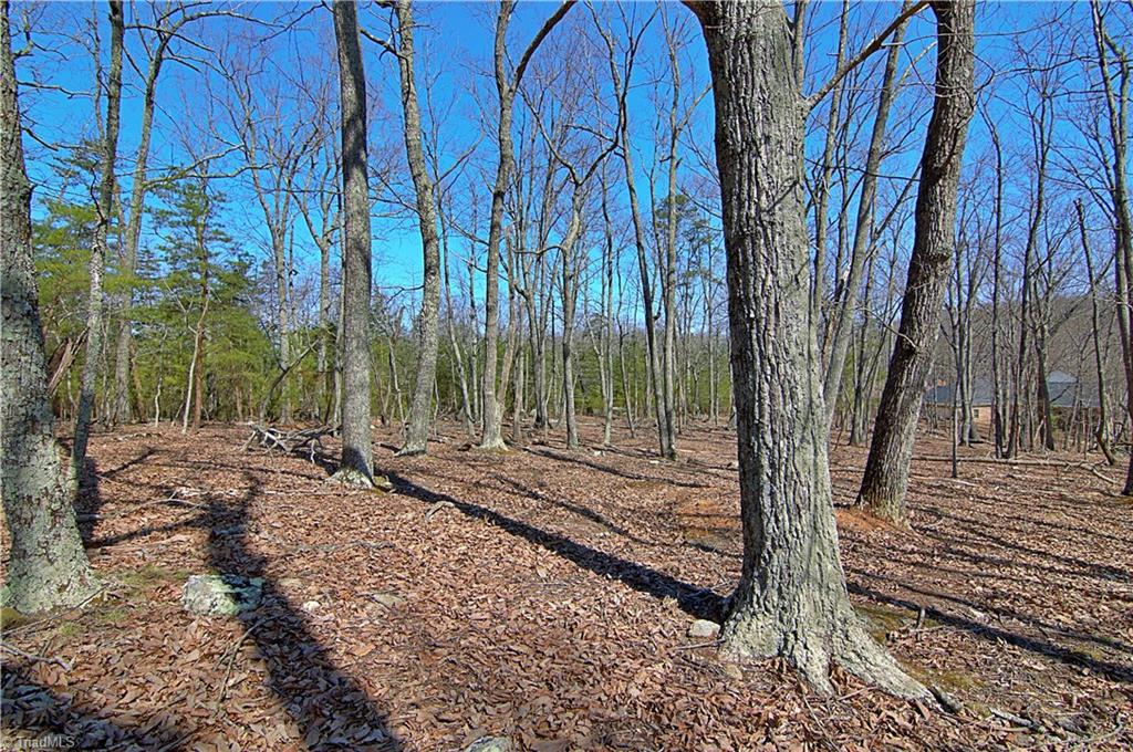 1080 Sierra Trace Road Denton, NC 27239 - Photo 9 of 31 Gallery Image 9