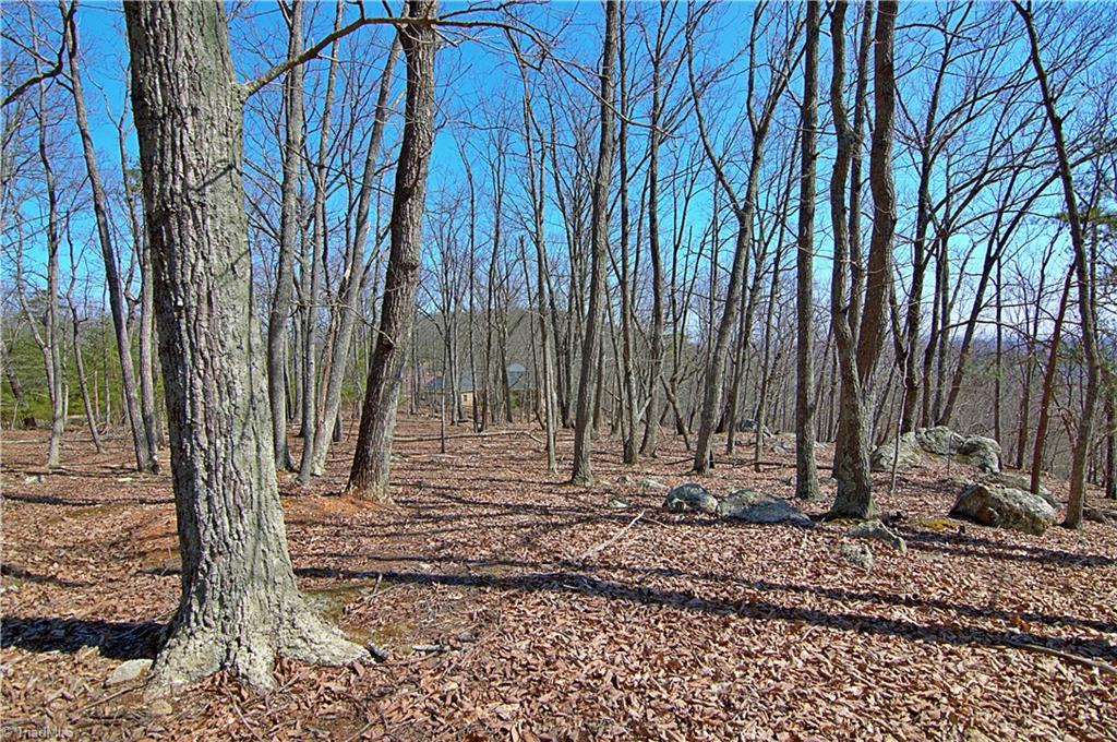 1080 Sierra Trace Road Denton, NC 27239 - Photo 10 of 31 Gallery Image 10