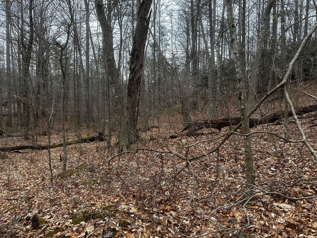 Tbd Laurel Fork Road Dugspur, VA 24325 - Photo 5 of 12 Gallery Image 5