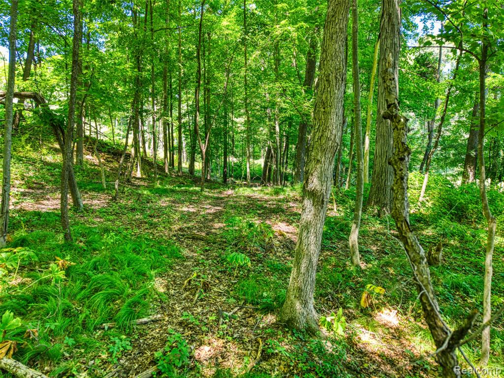 5663 Iosco Mountain Road Gregory, MI 48137 - Photo 8 of 13