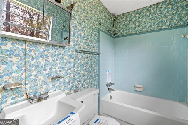 a bathroom with a toilet and a bathtub