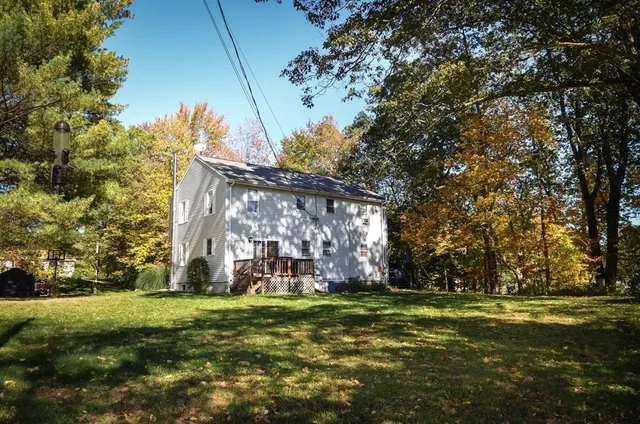 a view of a park with large trees