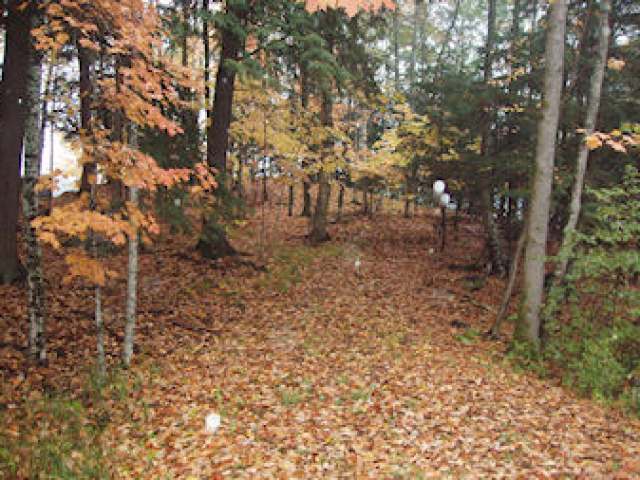 On On Nehiba Rd Park Falls Butternut, WI 54514 - Photo 6 of 6 Gallery Image 6
