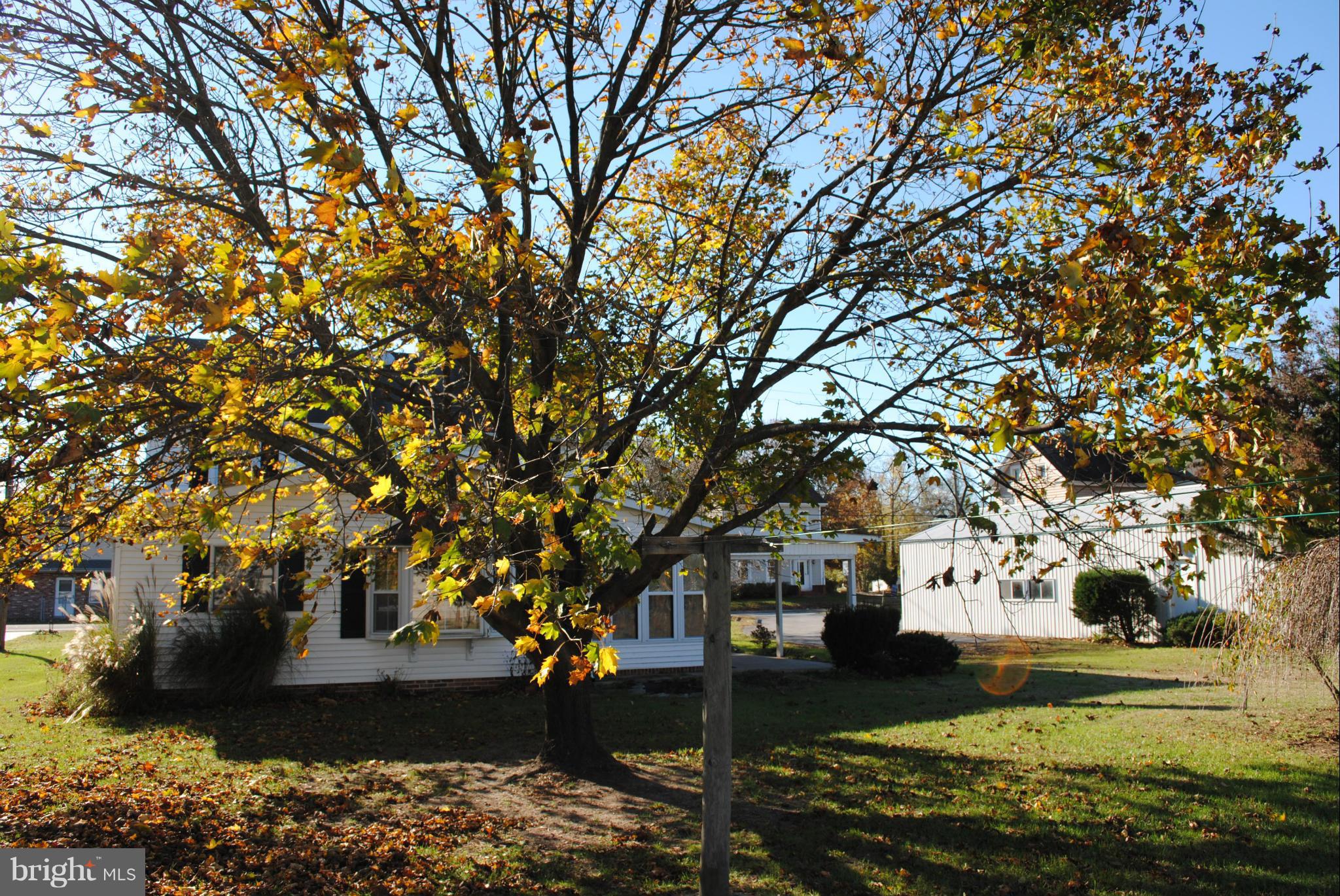 120 Broad Street Crumpton, MD 21628 - Photo 23 of 24 Exterior (Rear)