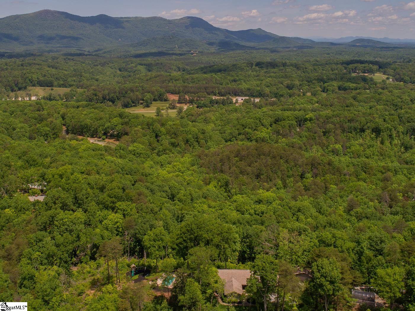 322 Hearthstone Ridge Road Landrum, SC 29356 - Photo 16 of 36 Gallery Image 16