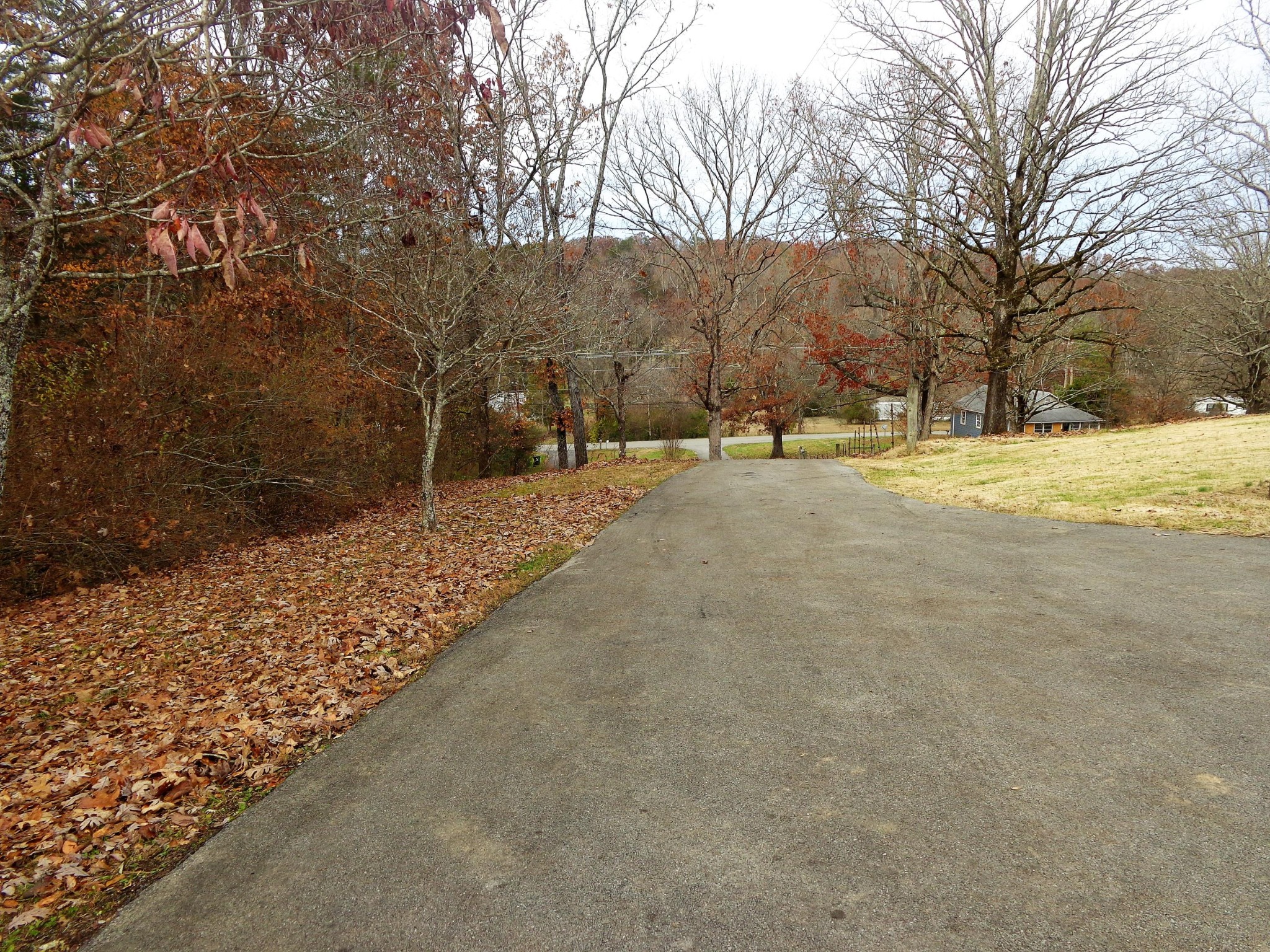 322 Chilhowee View Road Maryville, TN 37803 - Photo 11 of 40 Gallery Image 11
