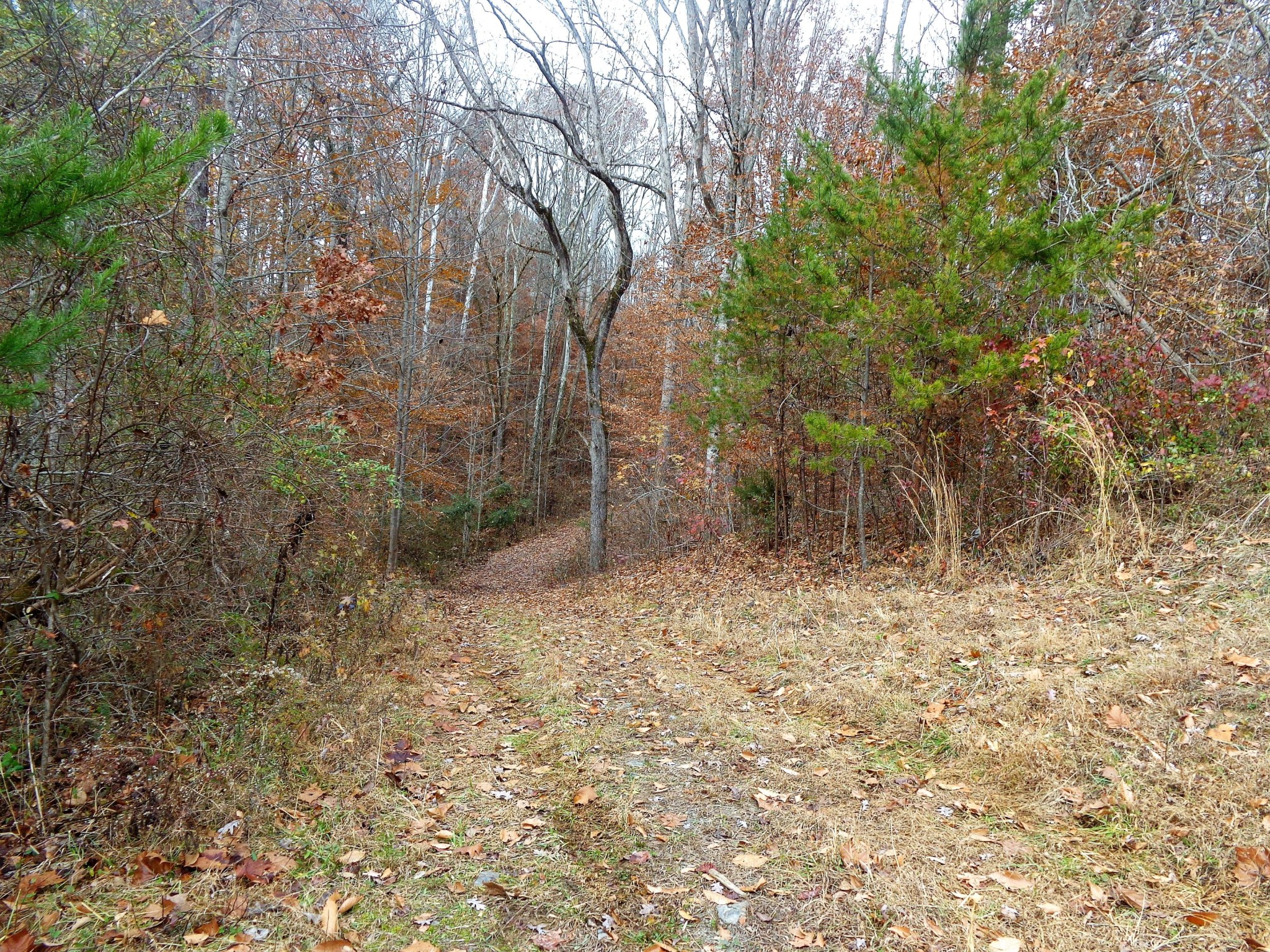 322 Chilhowee View Road Maryville, TN 37803 - Photo 15 of 40 Gallery Image 15
