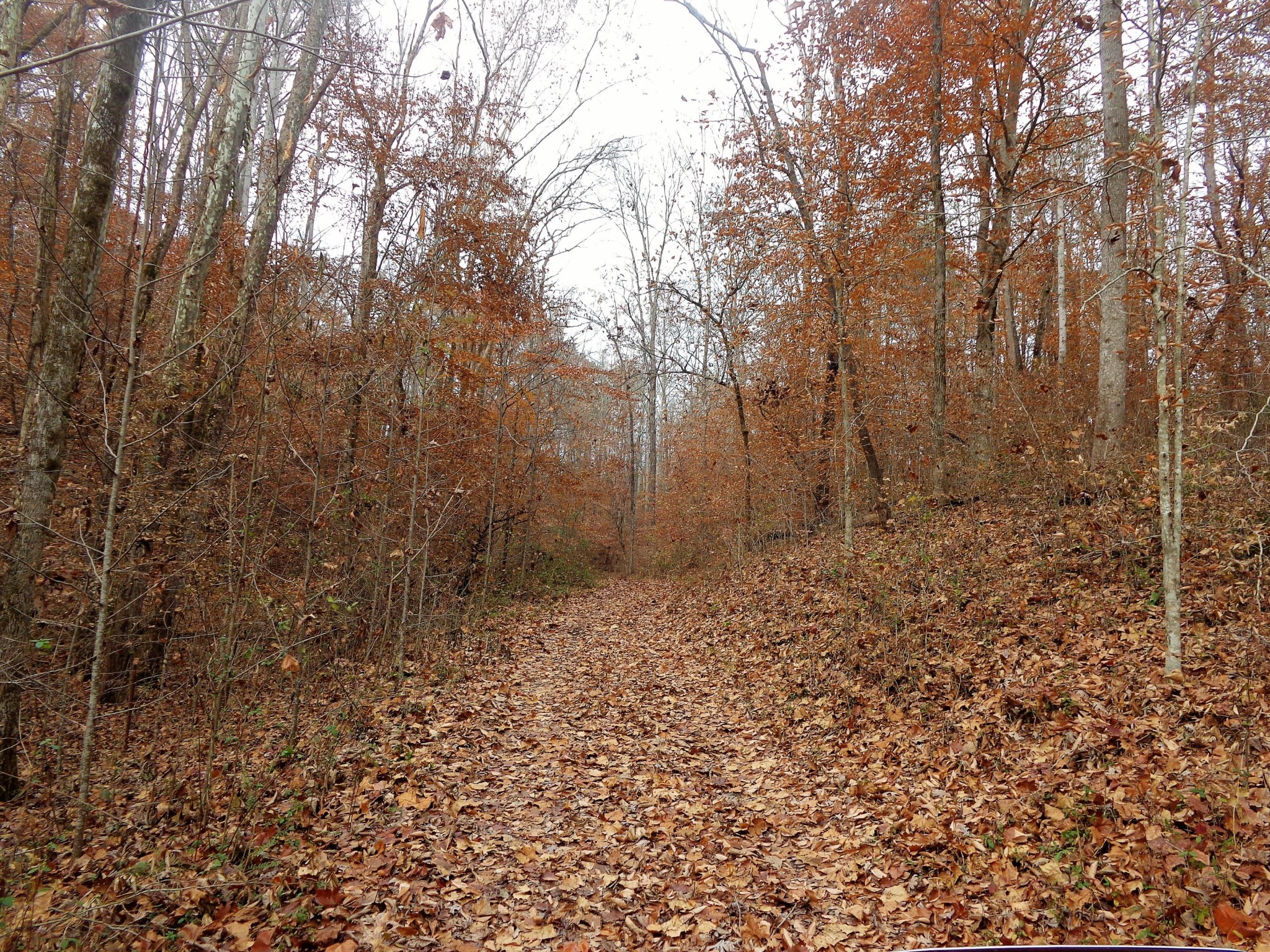 322 Chilhowee View Road Maryville, TN 37803 - Photo 17 of 40 Gallery Image 17
