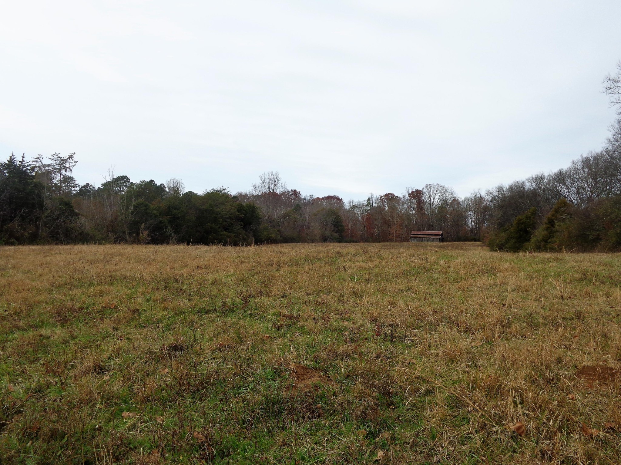 322 Chilhowee View Road Maryville, TN 37803 - Photo 21 of 40 Gallery Image 21