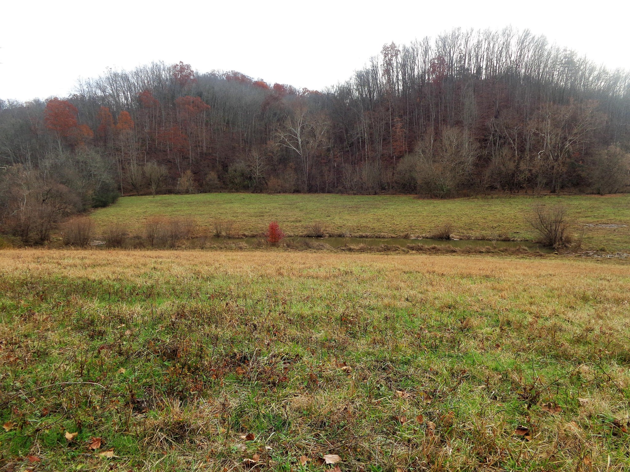 322 Chilhowee View Road Maryville, TN 37803 - Photo 24 of 40 Gallery Image 24
