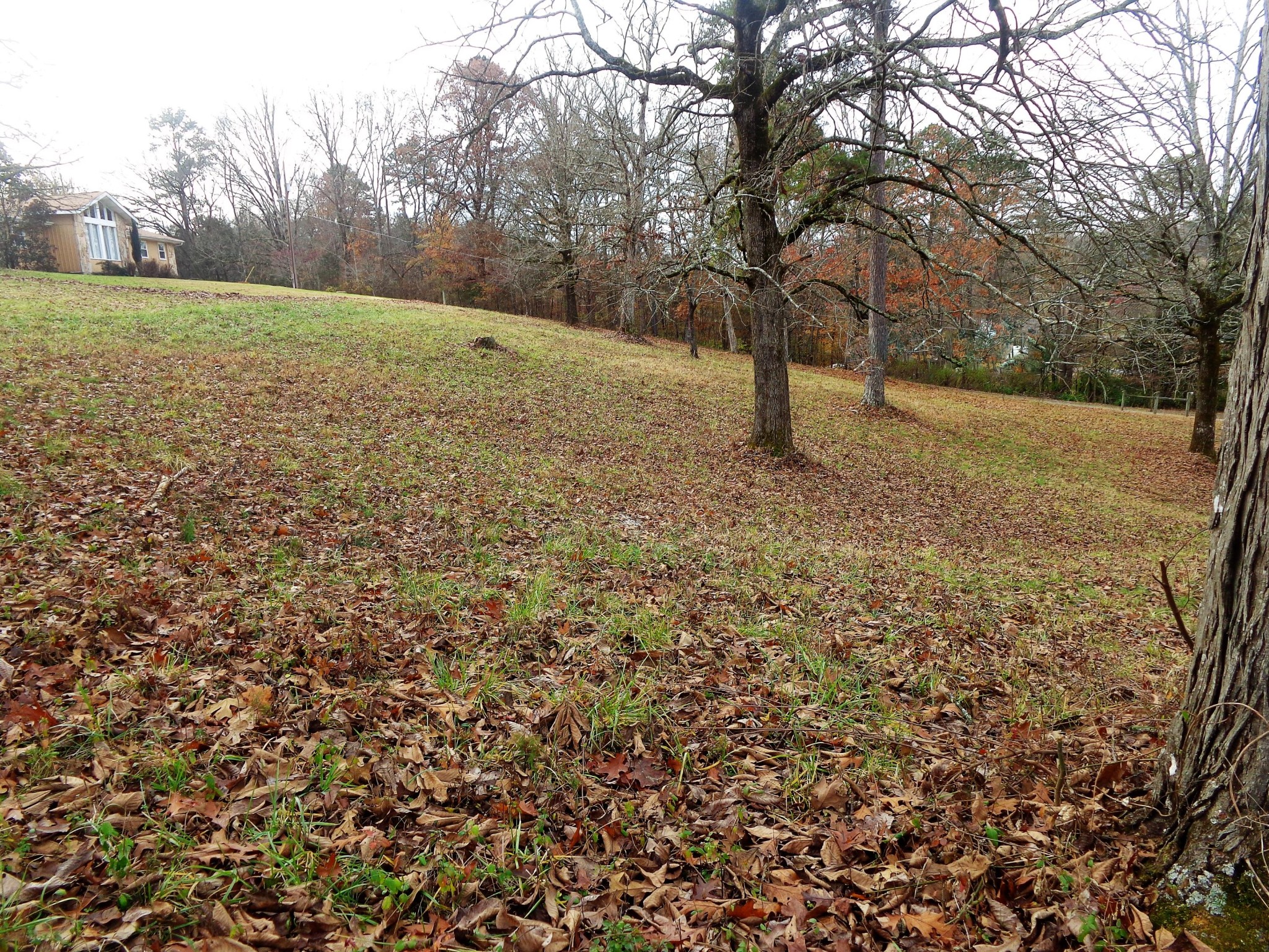 322 Chilhowee View Road Maryville, TN 37803 - Photo 3 of 40 Gallery Image 3