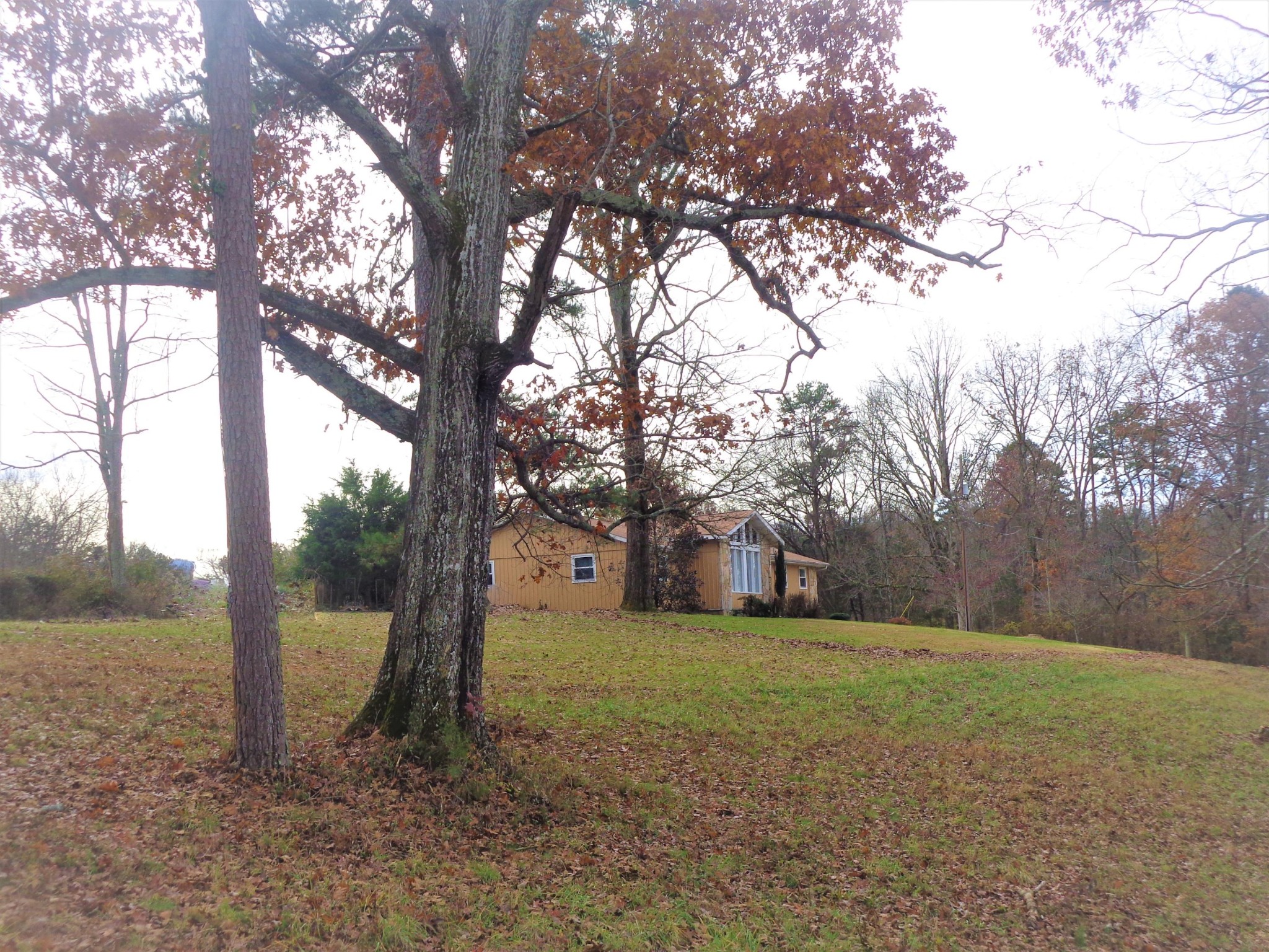 322 Chilhowee View Road Maryville, TN 37803 - Photo 4 of 40 Gallery Image 4