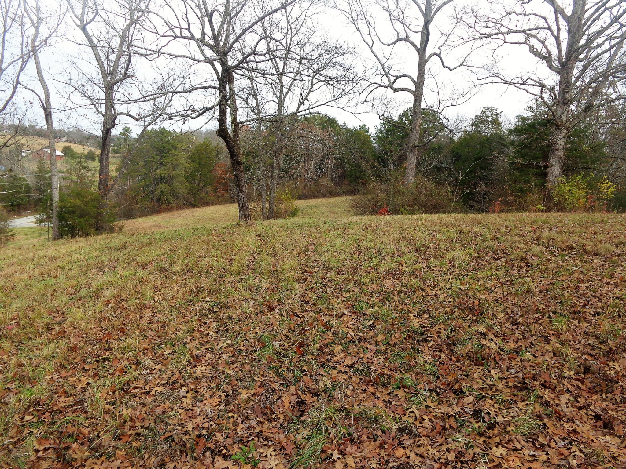 322 Chilhowee View Road Maryville, TN 37803 - Photo 5 of 40 Gallery Image 5
