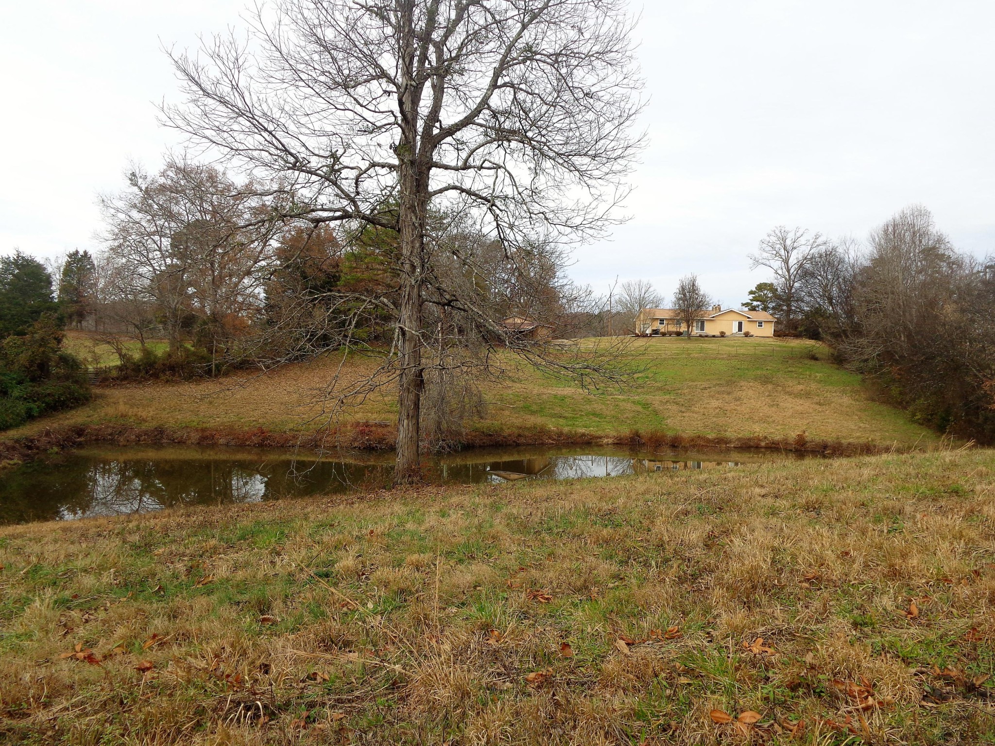 322 Chilhowee View Road Maryville, TN 37803 - Photo 7 of 40 Gallery Image 7