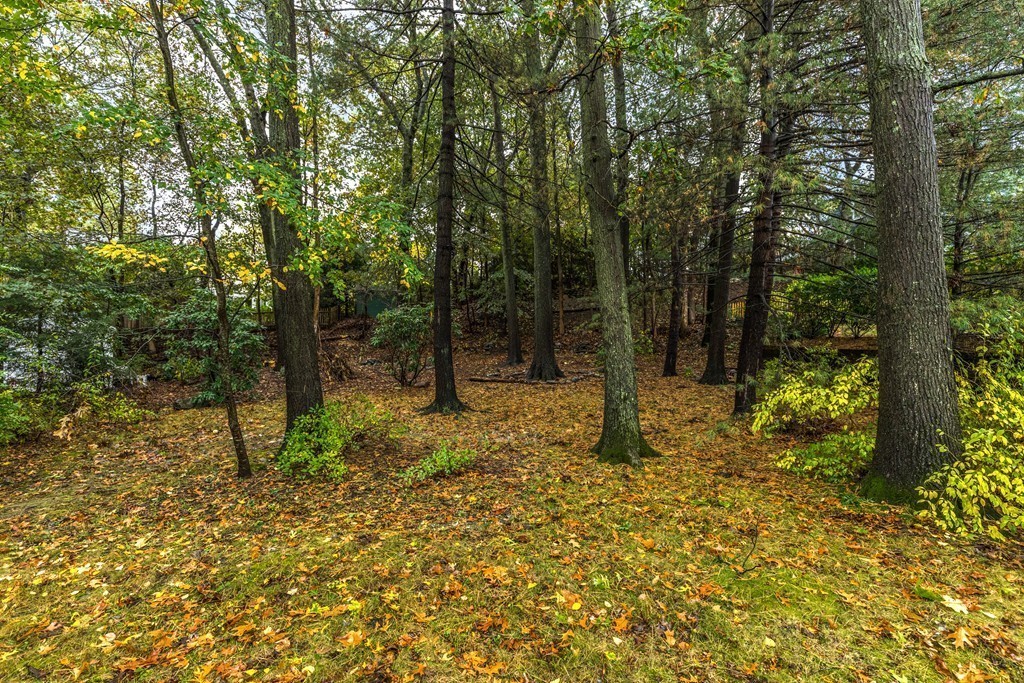 24 Gordon Road Milton, MA 02186 - Photo 28 of 30 a view of outdoor space with trees