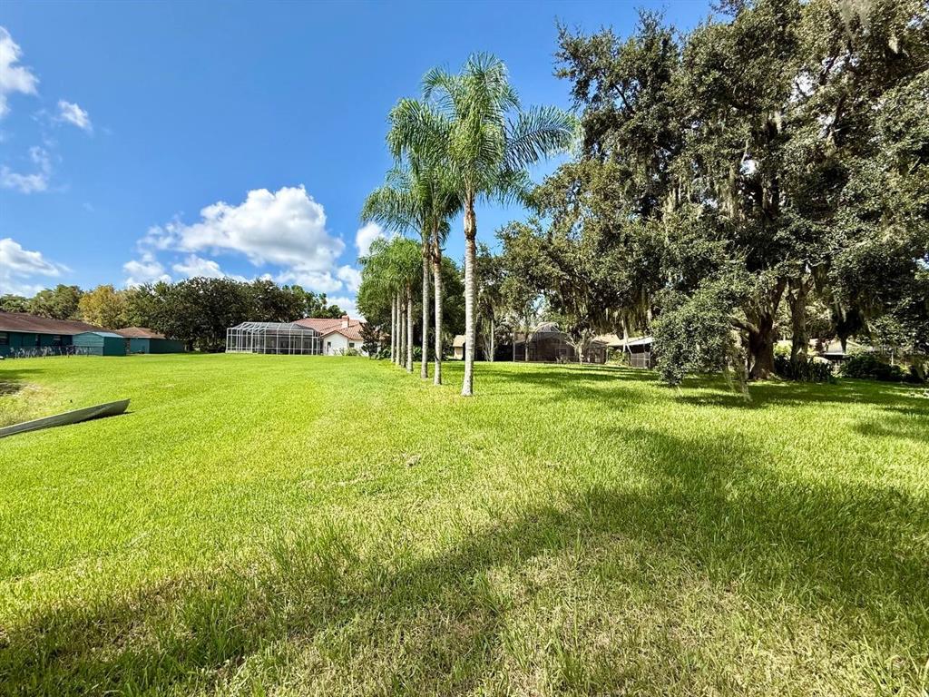1103 Ballinger Road Lutz, FL 33548 - Photo 91 of 99 Gallery Image 91