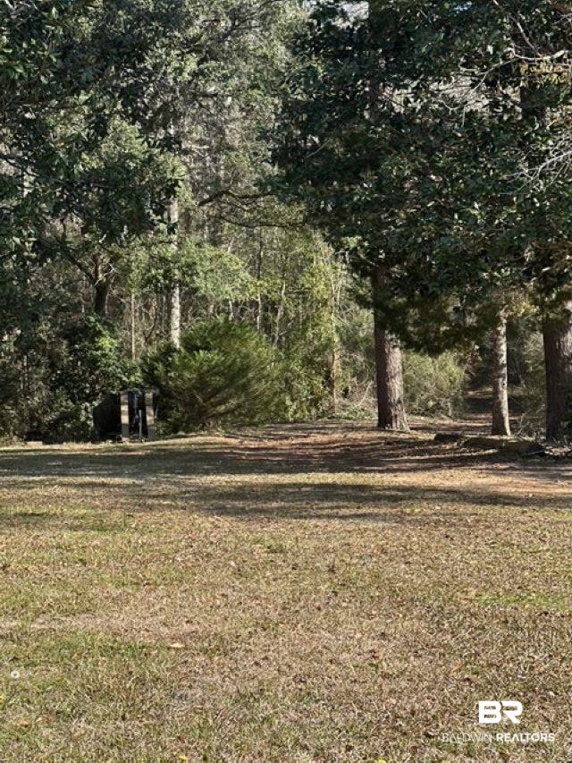 0 North Branson Drive Mobile, AL 36695 - Photo 6 of 20 View of yard