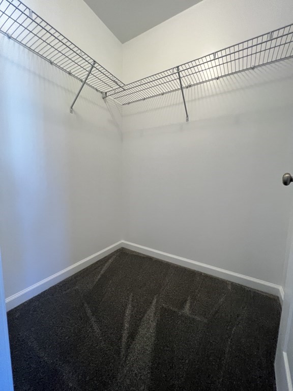 8 Francis Street Springfield, MA 01104 - Photo 35 of 41 a view of a room with racks on the wall