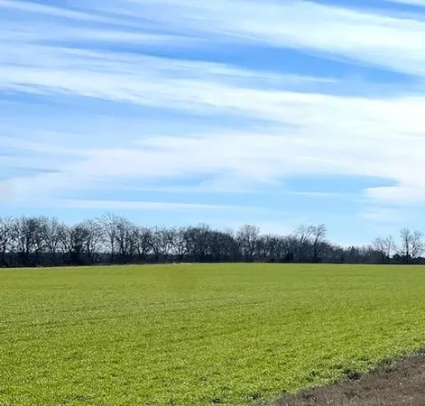 $220,000 | 824 Roxton Tx 75477, Roxton, TX 75477