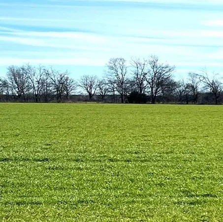 $220,000 | 824 Roxton Tx 75477, Roxton, TX 75477