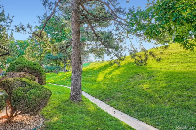 a view of a trees with a yard