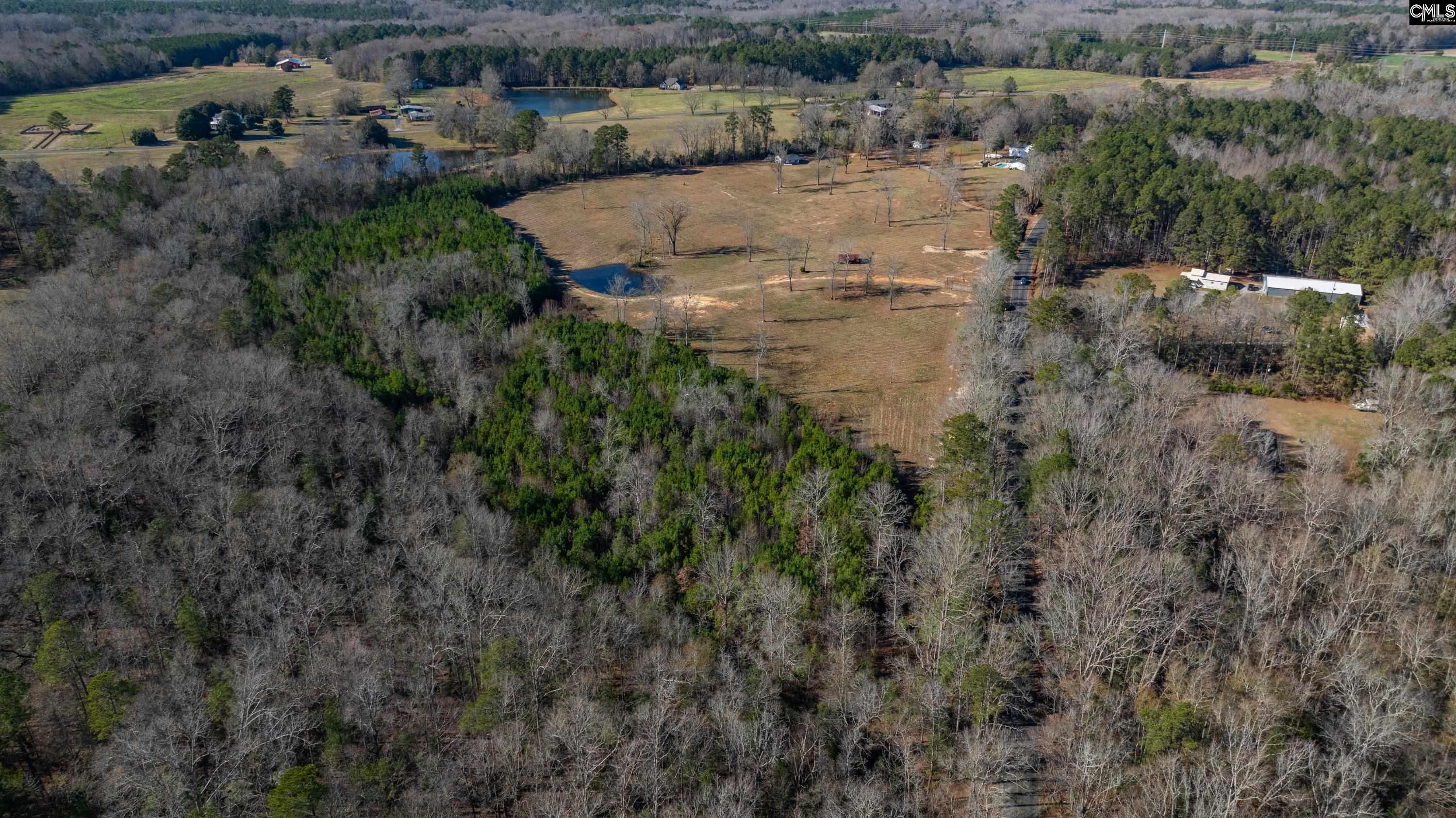 0 Cedar Grove Road Leesville, SC 29070 - Photo 1 of 14
