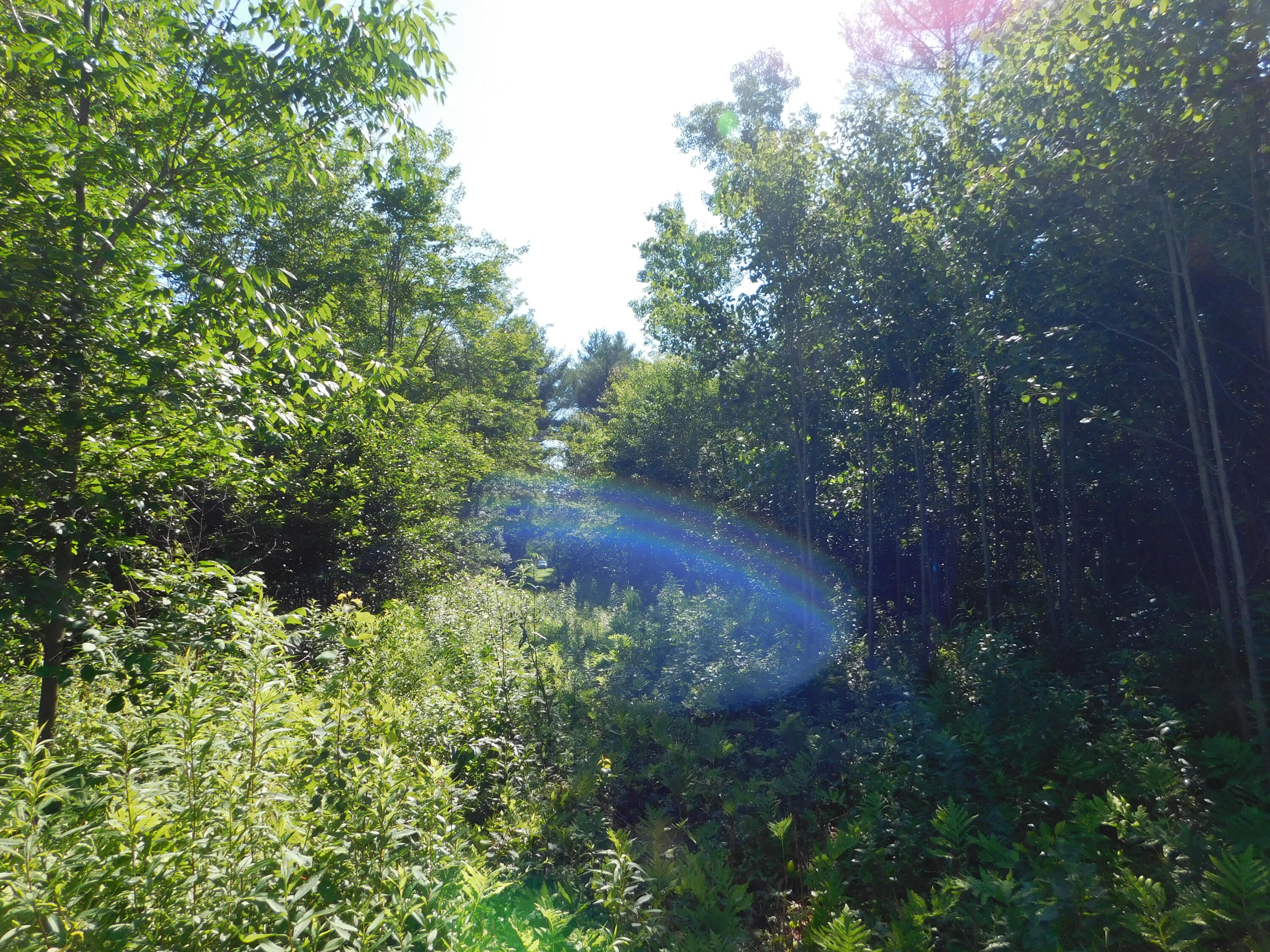 Lot # Mill Street Lagrange, ME 04453 - Photo 3 of 3 DSCN8705