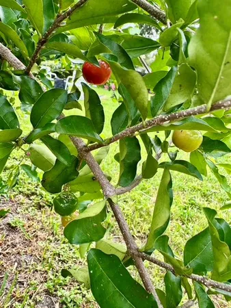 $4,000 | 1815 Barker Drive, Winter Park, FL 32789