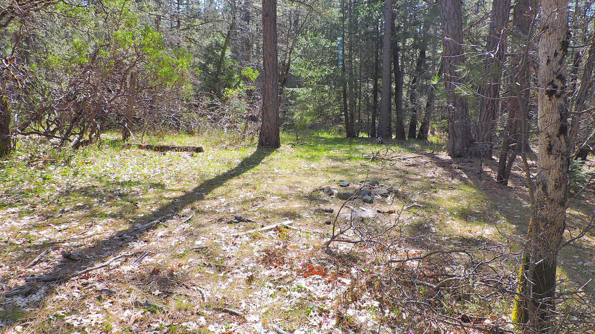 5.2-acres 5.2-acres Rl Smith Lumber Company Road Oak Run, CA 96069 - Photo 2 of 17 Smith Logging_41
