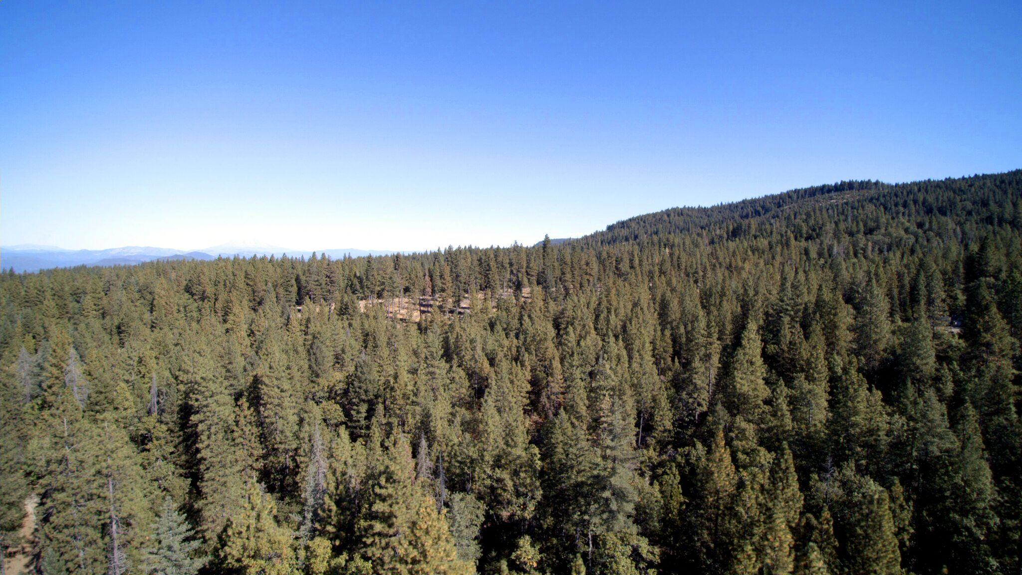 5.2-acres 5.2-acres Rl Smith Lumber Company Road Oak Run, CA 96069 - Photo 4 of 17 SmithCamp2-F06_preview