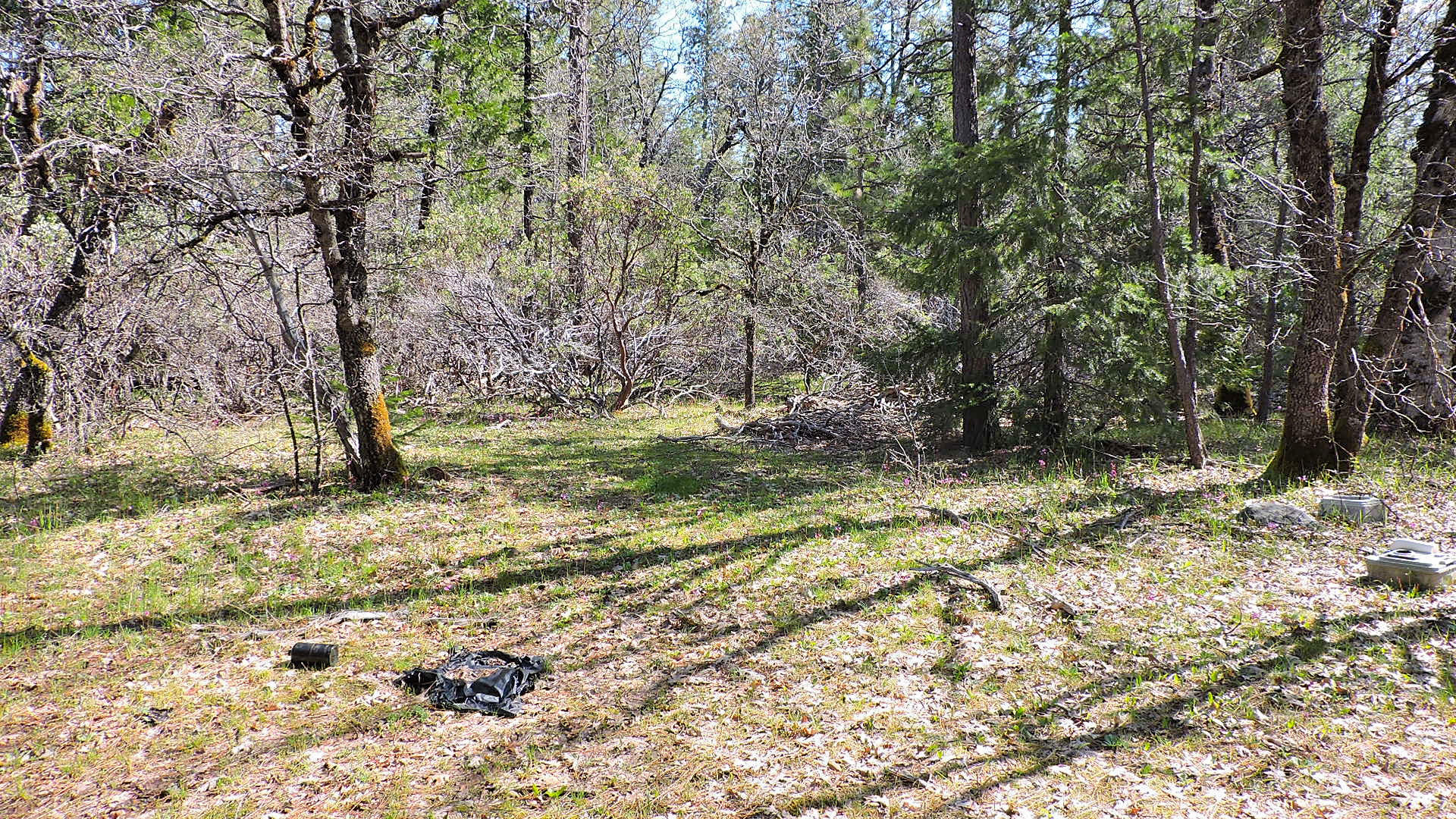 5.2-acres 5.2-acres Rl Smith Lumber Company Road Oak Run, CA 96069 - Photo 5 of 17 Smith Logging_42