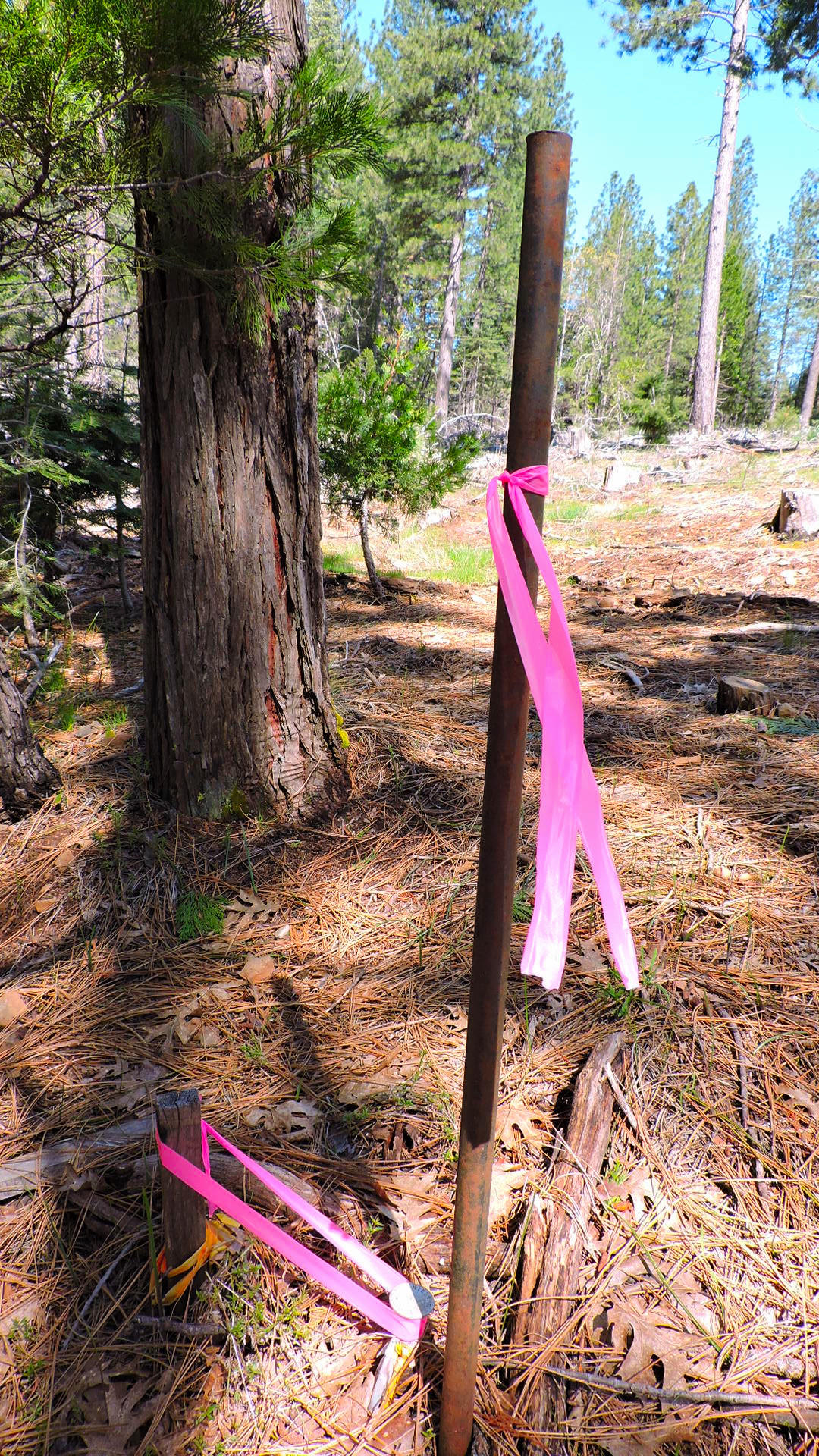 5.2-acres 5.2-acres Rl Smith Lumber Company Road Oak Run, CA 96069 - Photo 6 of 17 Smith Logging_49