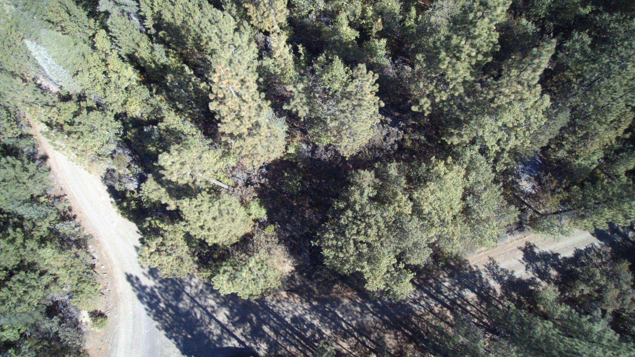 5.2-acres 5.2-acres Rl Smith Lumber Company Road Oak Run, CA 96069 - Photo 7 of 17 SmithCamp2-F07_preview