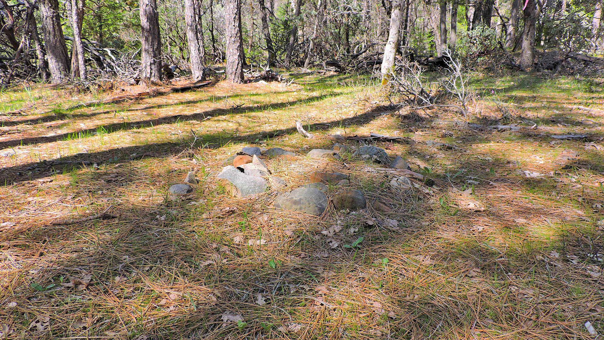 5.2-acres 5.2-acres Rl Smith Lumber Company Road Oak Run, CA 96069 - Photo 10 of 17 Smith Logging_57
