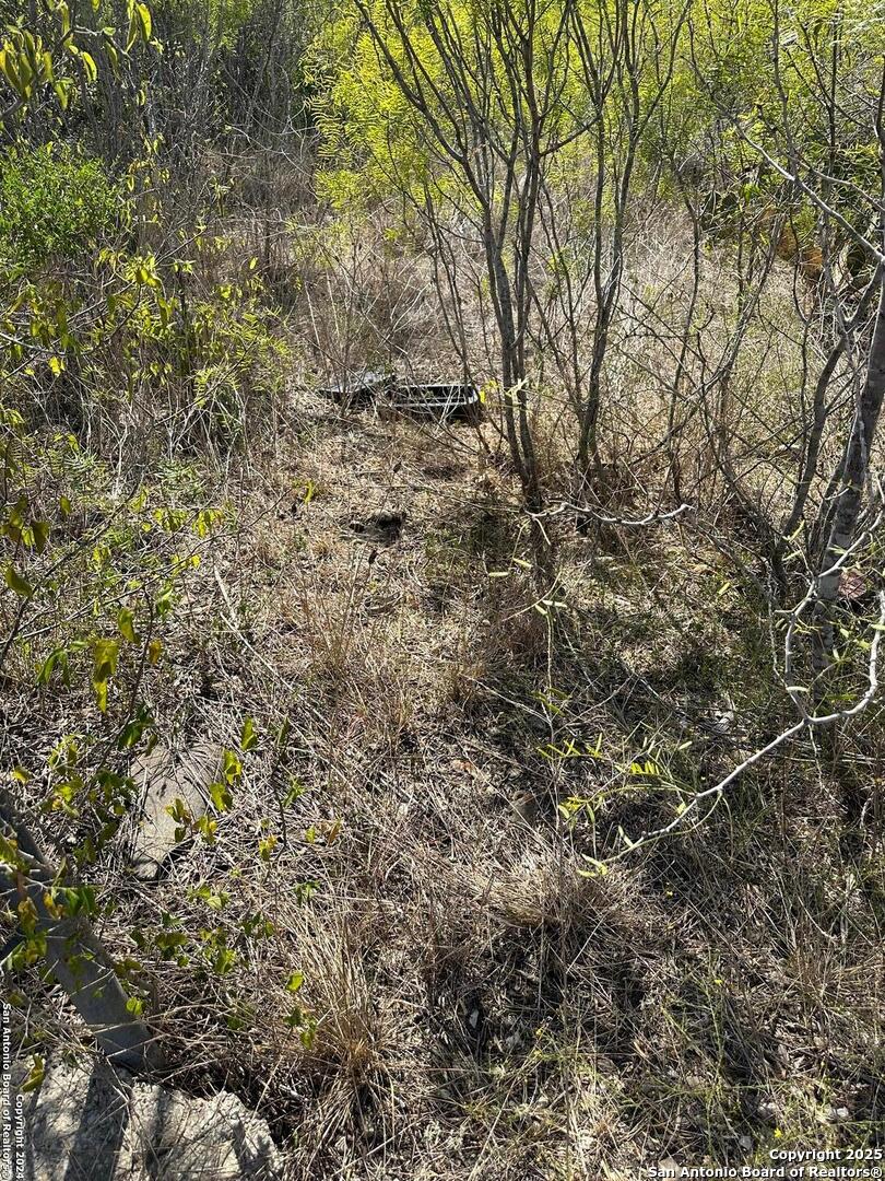 4435 Stapper Road St. Hedwig, TX 78152 - Photo 2 of 7