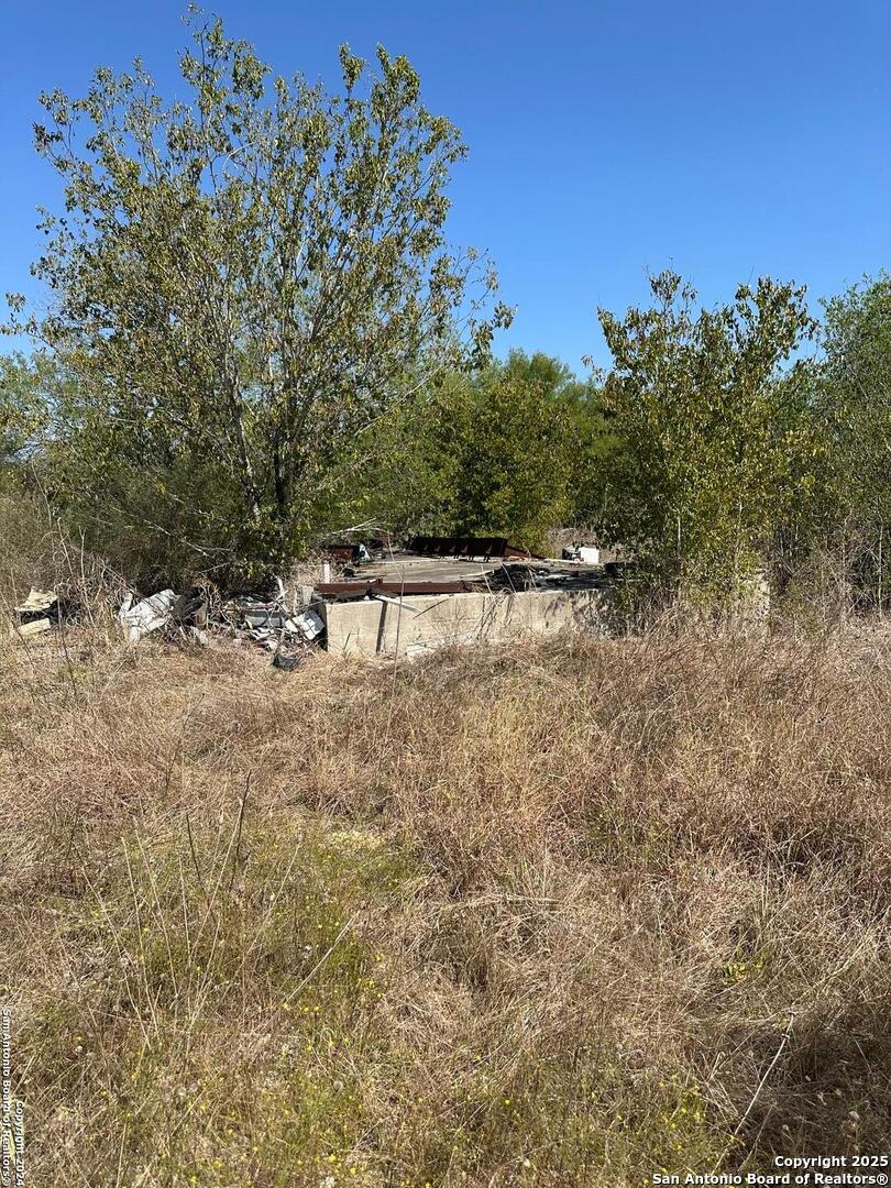 4435 Stapper Road St. Hedwig, TX 78152 - Photo 5 of 7