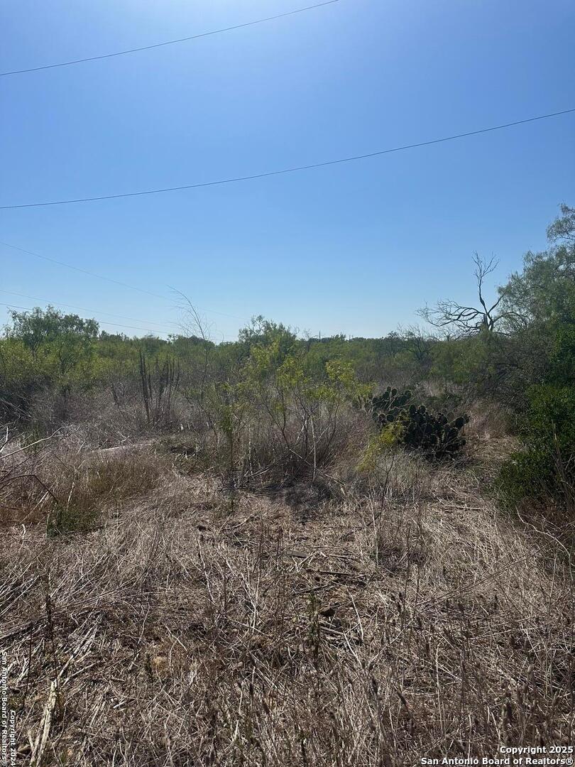 4435 Stapper Road St. Hedwig, TX 78152 - Photo 7 of 7