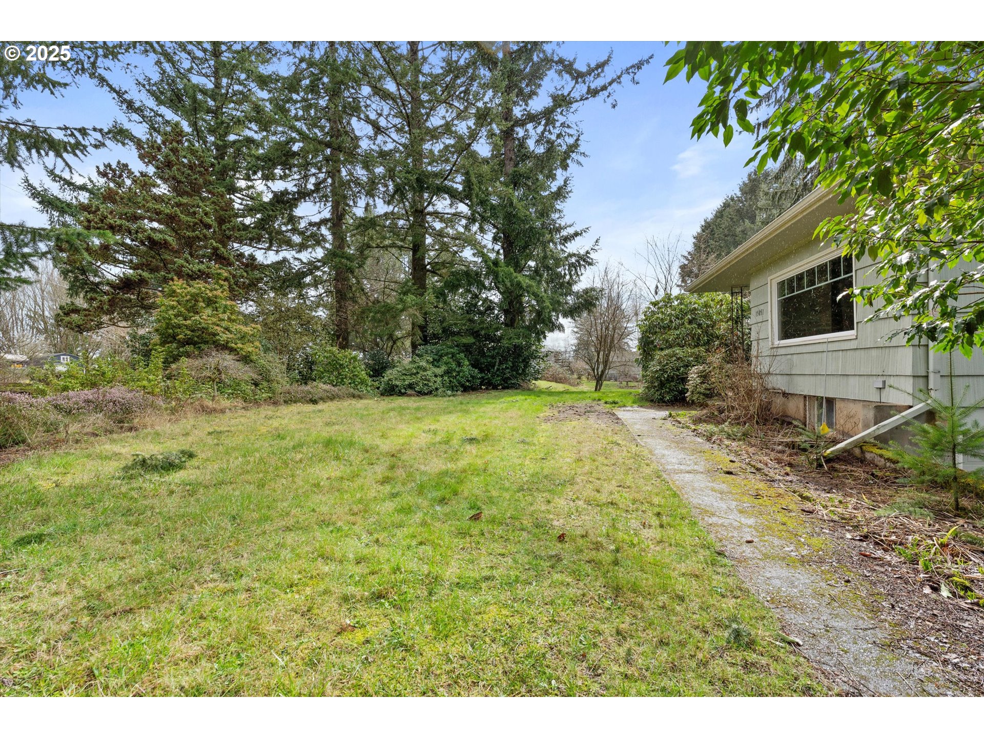 15051 Southeast Bluff Road Sandy, OR 97055 - Photo 3 of 41 a view of a backyard with large trees