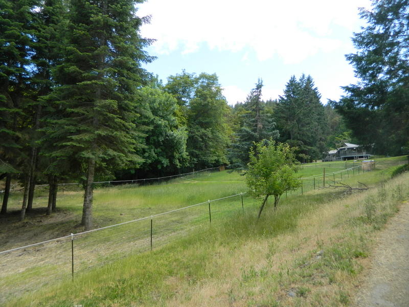 12320 Water Gap Road Williams, OR 97544 - Photo 41 of 53 Pasture