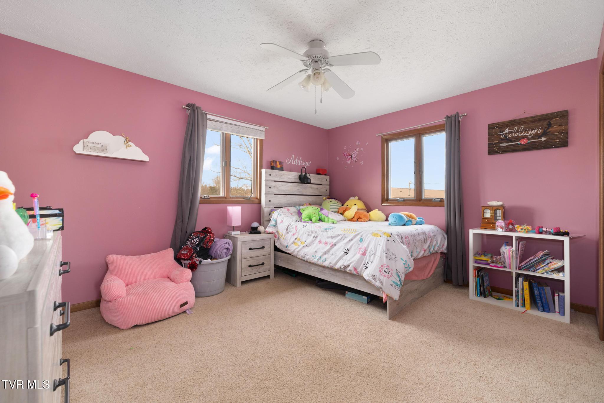 1105 Harmony Road Jonesborough, TN 37659 - Photo 21 of 53 IMG_1265