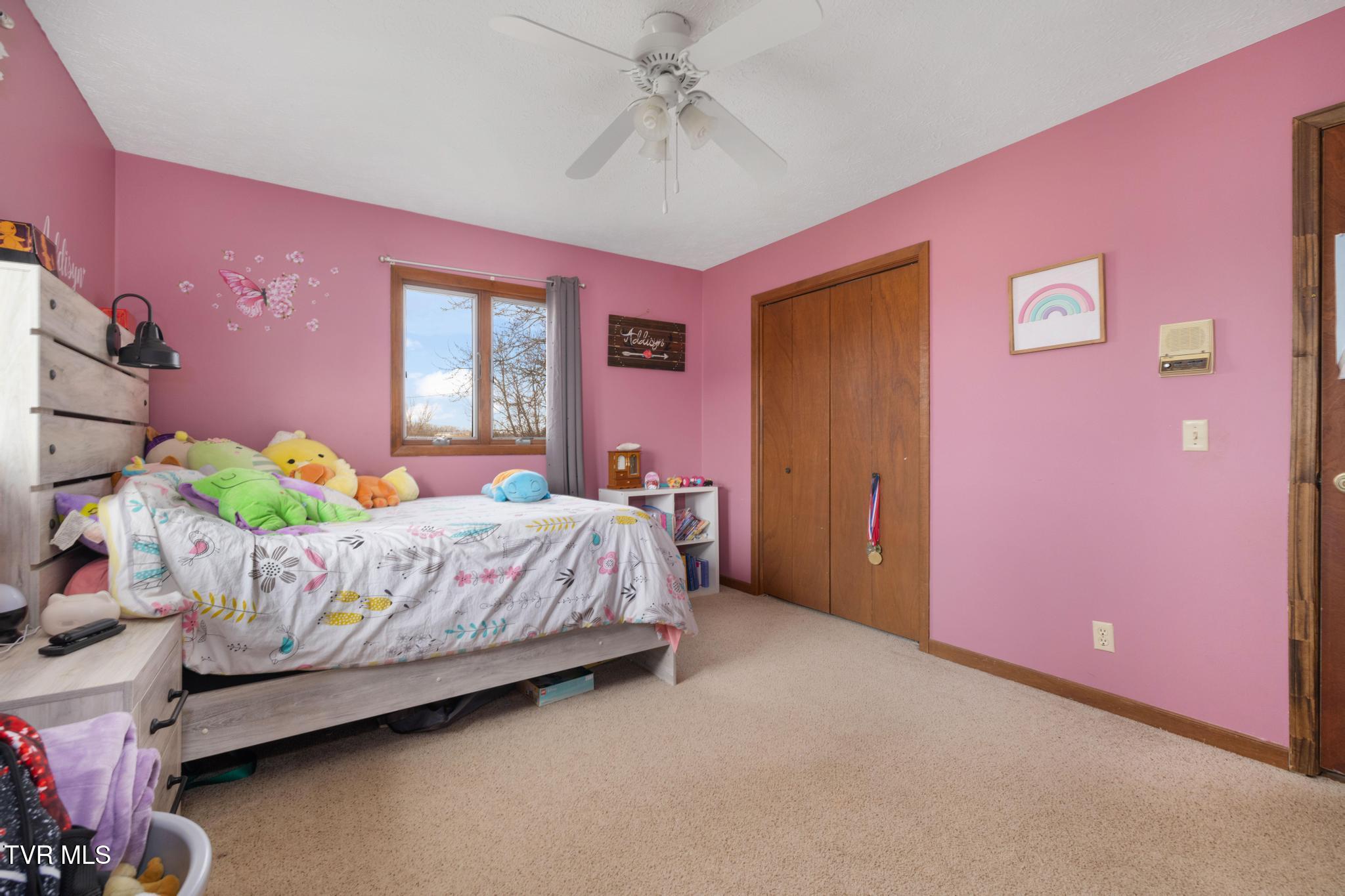 1105 Harmony Road Jonesborough, TN 37659 - Photo 23 of 53 IMG_1281