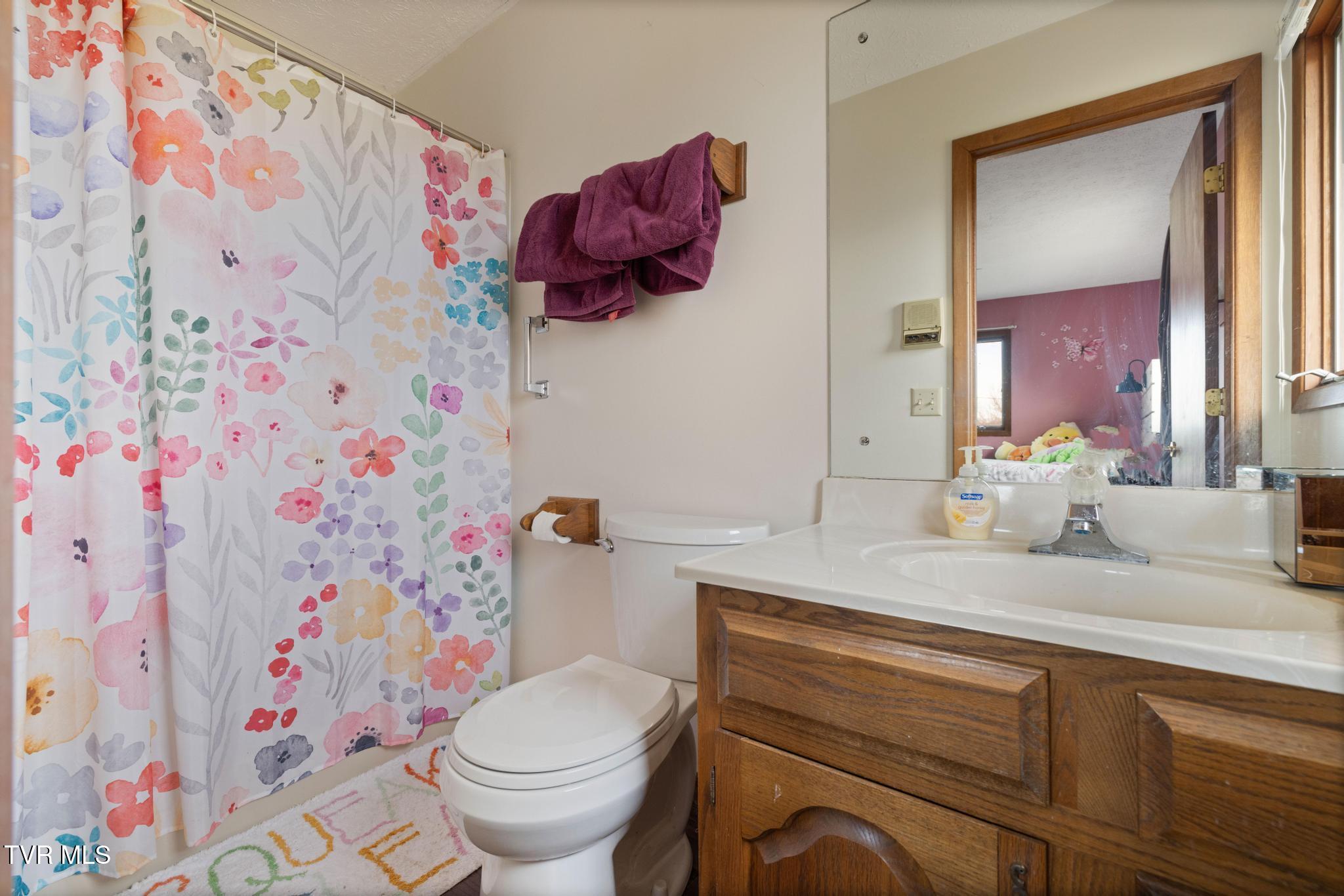 1105 Harmony Road Jonesborough, TN 37659 - Photo 24 of 53 IMG_1284