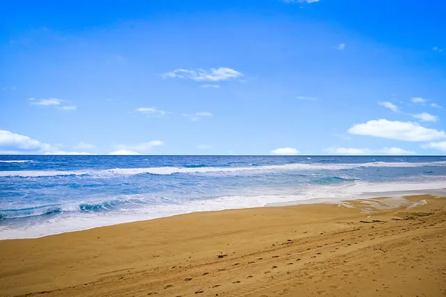 a view of an ocean and beach