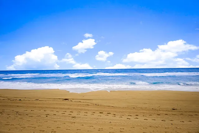 a view of an ocean and beach