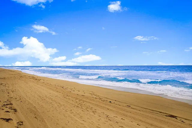 $5,000 | 3520 South Ocean Boulevard, Unit A506, South Palm Beach, FL 33480