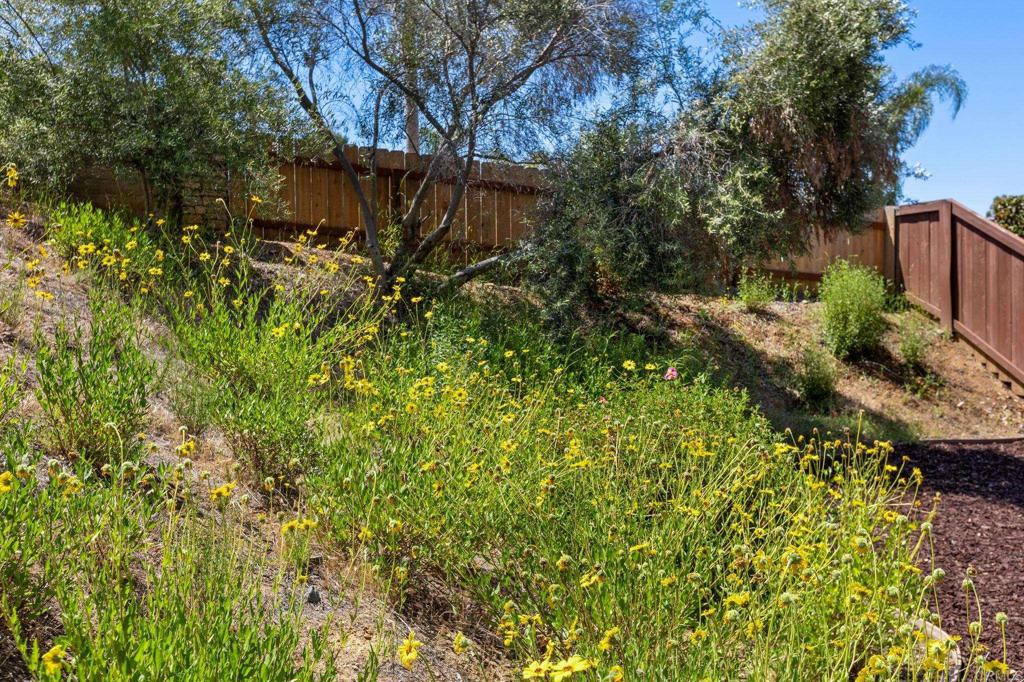 2292 Marquand Court Alpine, CA 91901 - Photo 32 of 38