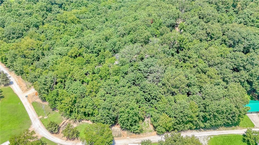 33260 Golden Acres Road Lincoln, MO 65338 - Photo 78 of 95